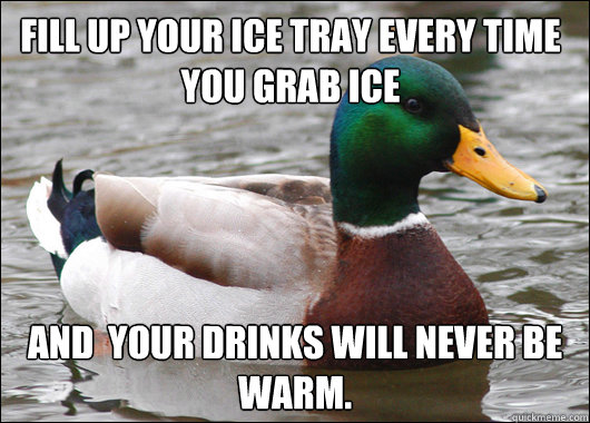 Fill up your ice tray every time you grab ice and  your drinks will never be warm.  Actual Advice Mallard