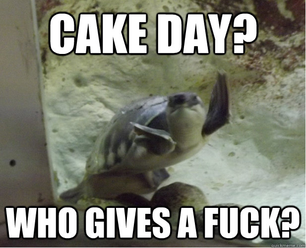 Cake Day? Who gives a fuck?  Give up Turtle