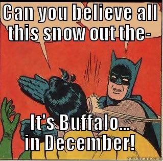CAN YOU BELIEVE ALL THIS SNOW OUT THE- IT'S BUFFALO... IN DECEMBER! Slappin Batman