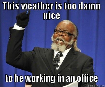 Weather is too dman nice - THIS WEATHER IS TOO DAMN NICE TO BE WORKING IN AN OFFICE Too Damn High