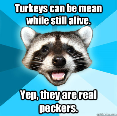 Turkeys can be mean while still alive. Yep, they are real peckers.  Lame Pun Coon