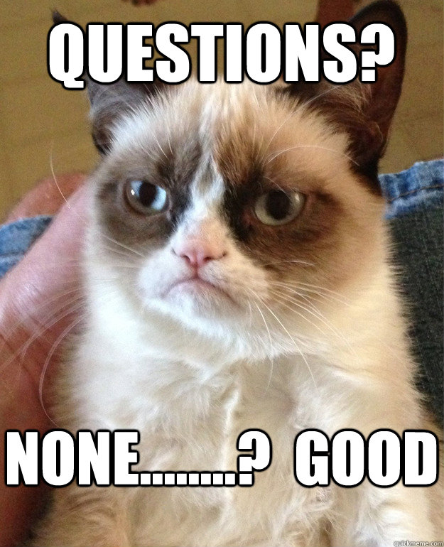 Questions? None........?  Good - Questions? None........?  Good  Grumpy Cat