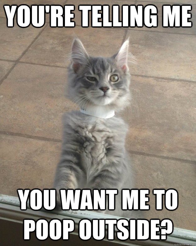 You're telling me you want me to poop outside?  