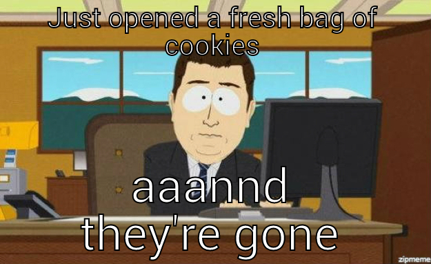 JUST OPENED A FRESH BAG OF COOKIES AAANND THEY'RE GONE aaaand its gone