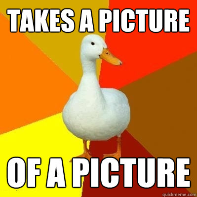 Takes a picture of a picture  Tech Impaired Duck