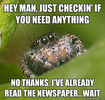 Hey man, just checkin' if you need anything No thanks, I've already read the newspaper...wait  Misunderstood Spider