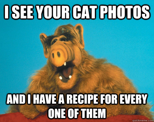 I see your cat photos and I have a recipe for every one of them - I see your cat photos and I have a recipe for every one of them  Misc