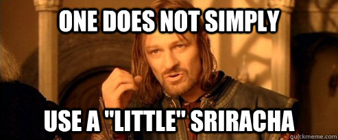 One does not simply Use a 