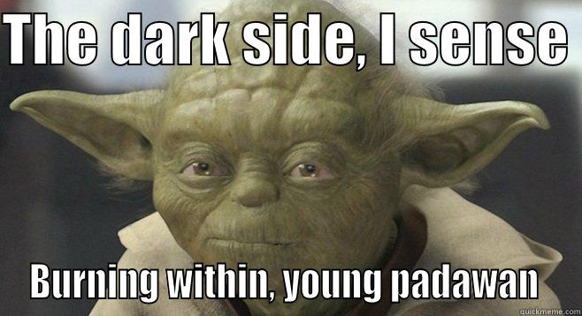 Burning Dark Side - THE DARK SIDE, I SENSE  BURNING WITHIN, YOUNG PADAWAN  Misc