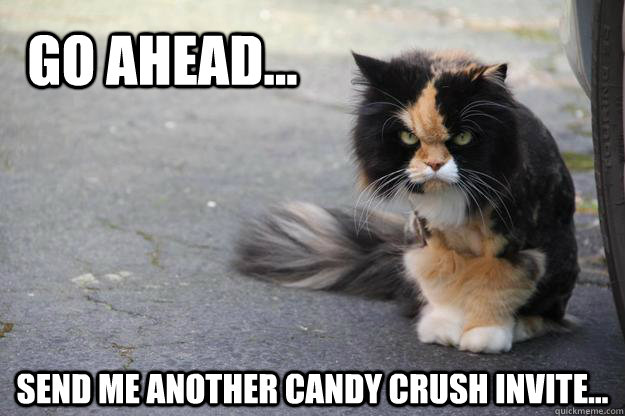 Go ahead... Send me another Candy Crush Invite...  Angry Cat