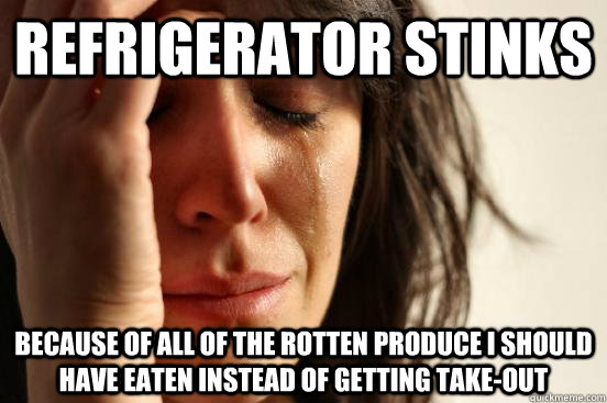 Refrigerator stinks Because of all of the rotten produce I should have eaten instead of getting take-out  First World Problems