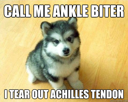Call me ankle biter I tear out achilles tendon  Baby Courage Wolf