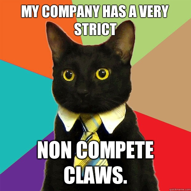 My company has a very strict Non compete claws. - My company has a very strict Non compete claws.  Business Cat
