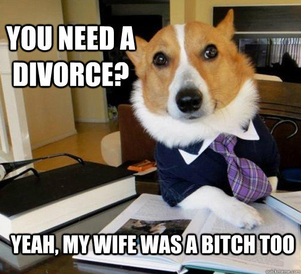 you need a Divorce? yeah, my wife was a bitch too  - you need a Divorce? yeah, my wife was a bitch too   Lawyer Dog