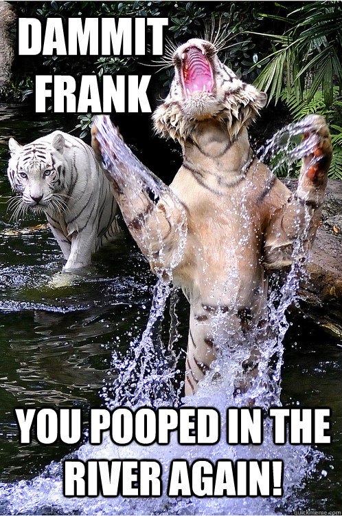 Dammit frank you pooped in the river again! - Dammit frank you pooped in the river again!  UPSET TIGER