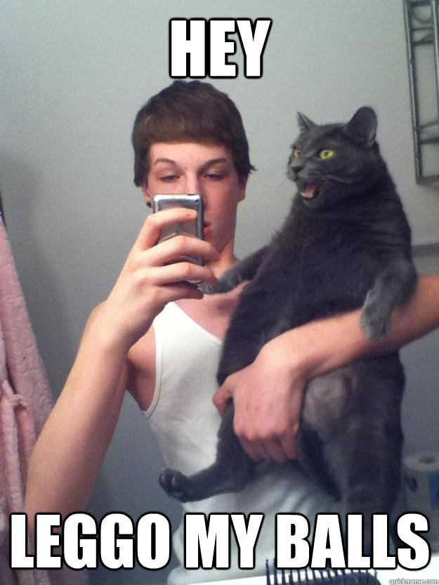 hey leggo my balls  