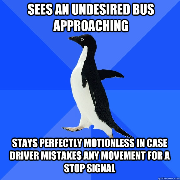 sees an undesired bus approaching  stays perfectly motionless in case driver mistakes any movement for a stop signal - sees an undesired bus approaching  stays perfectly motionless in case driver mistakes any movement for a stop signal  Socially Awkward Penguin