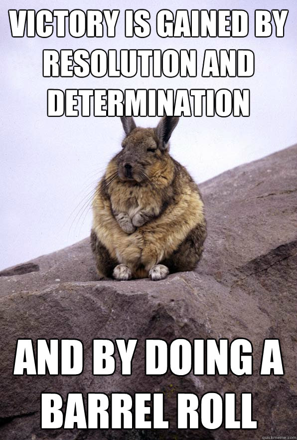 victory is gained by resolution and determination and by doing a barrel roll  Wise Wondering Viscacha