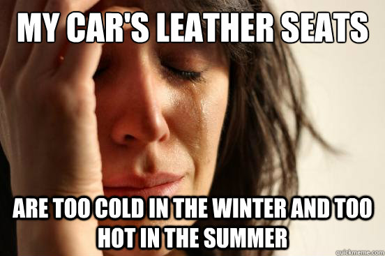 My car's leather seats are too cold in the winter and too hot in the summer  First World Problems