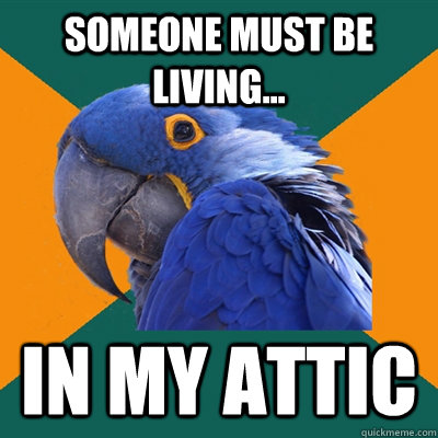SOMEONE must be living... in my attic  Paranoid Parrot