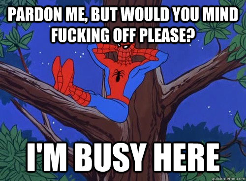 Pardon me, but would you mind fucking off please? I'm busy here  Spider man
