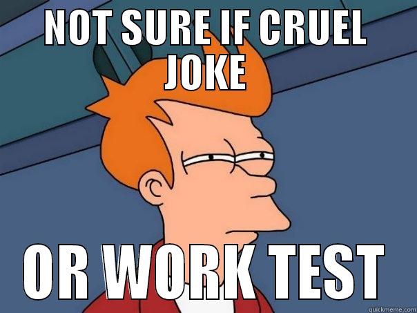 NOT SURE IF CRUEL JOKE OR WORK TEST Futurama Fry