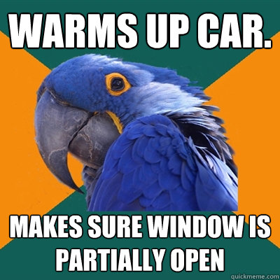 Warms up car. makes sure window is partially open   Paranoid Parrot
