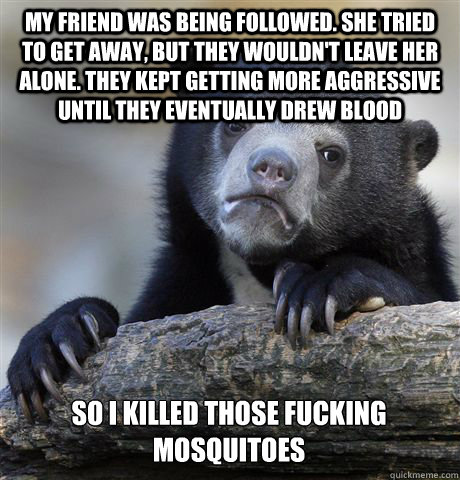My friend was being followed. She tried to get away, but they wouldn't leave her alone. They kept getting more aggressive until they eventually drew blood so i killed those fucking mosquitoes  Confession Bear