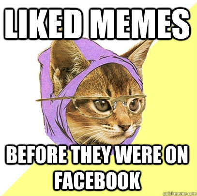 LIKED MEMES BEFORE THEY WERE ON FACEBOOK  Hipster Kitty
