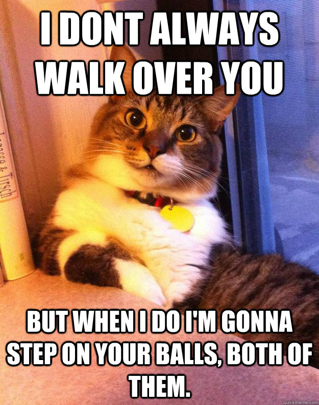 i dont always walk over you but when I do I'm gonna step on your balls, both of them. - i dont always walk over you but when I do I'm gonna step on your balls, both of them.  Misc