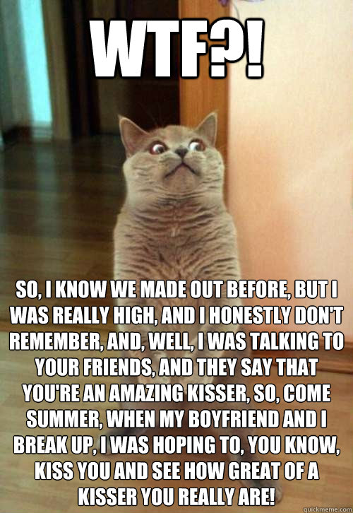 WTF?! So, I know we made out before, but I was really high, and I honestly don't remember, and, well, I was talking to your friends, and they say that you're an amazing kisser, so, come summer, when my boyfriend and I break up, I was hoping to, you know,   Horrorcat