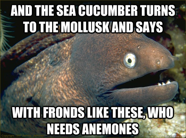 and the sea cucumber turns to the mollusk and says With fronds like these, who needs anemones  Bad Joke Eel