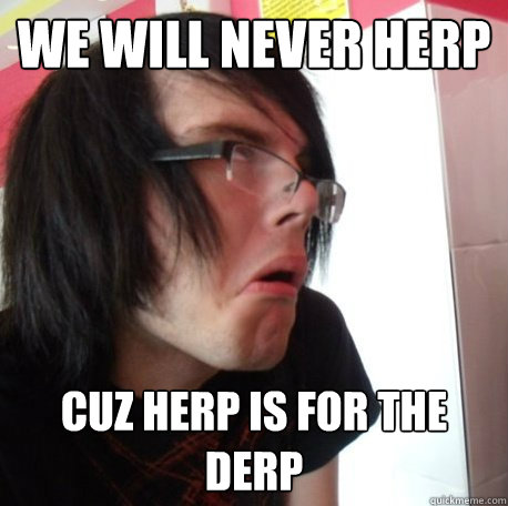 WE WILL NEVER HERP CUZ HERP IS FOR THE DERP - WE WILL NEVER HERP CUZ HERP IS FOR THE DERP  HURRR