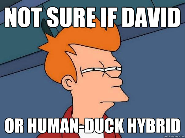 not sure if david or human-duck hybrid - not sure if david or human-duck hybrid  Futurama Fry