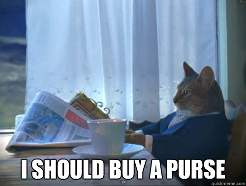  I should buy a purse  The One Percent Cat