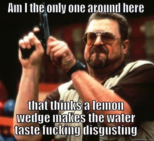 AM I THE ONLY ONE AROUND HERE THAT THINKS A LEMON WEDGE MAKES THE WATER TASTE FUCKING DISGUSTING Am I The Only One Around Here