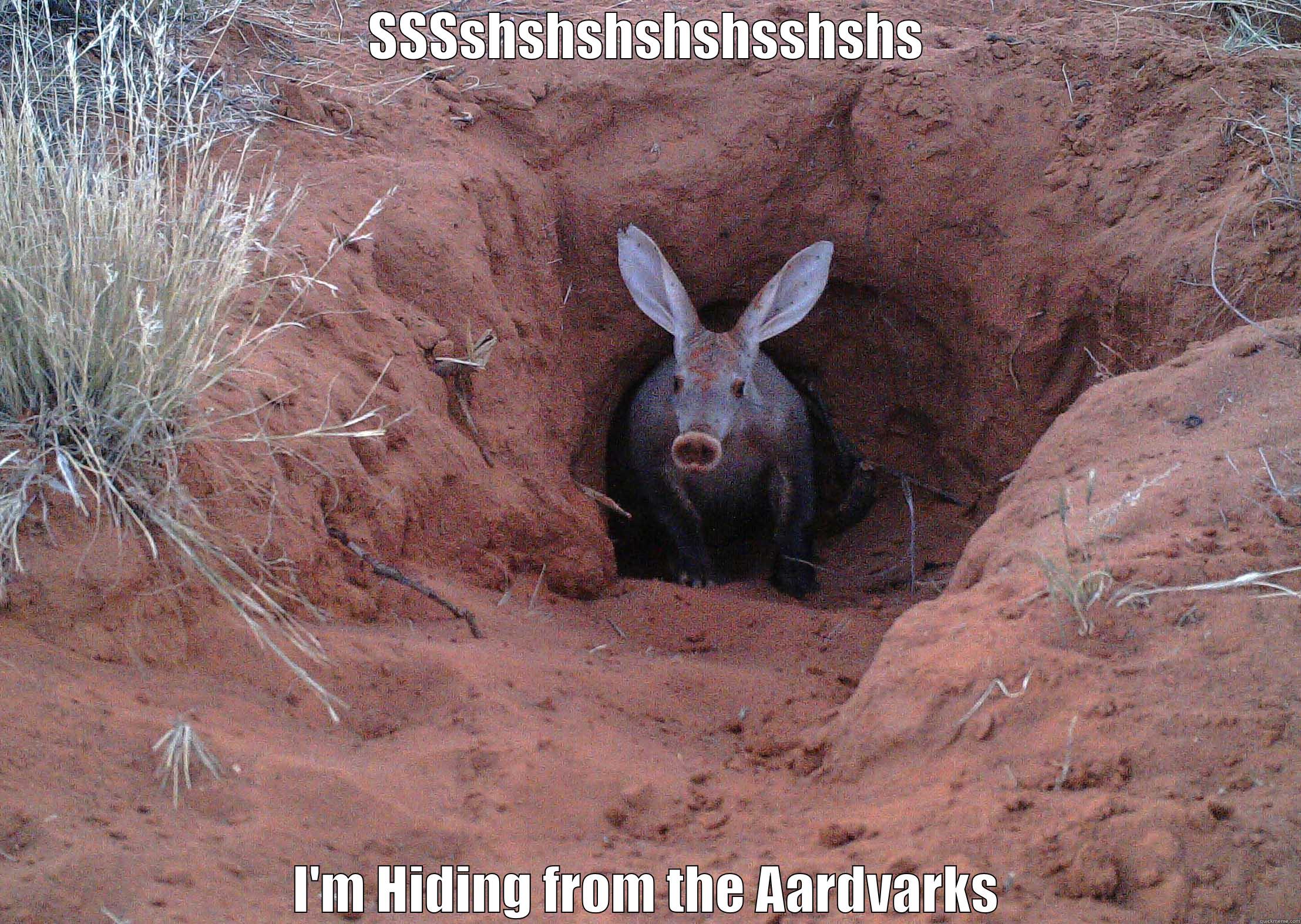 SSSSHSHSHSHSHSSHSHS I'M HIDING FROM THE AARDVARKS Misc