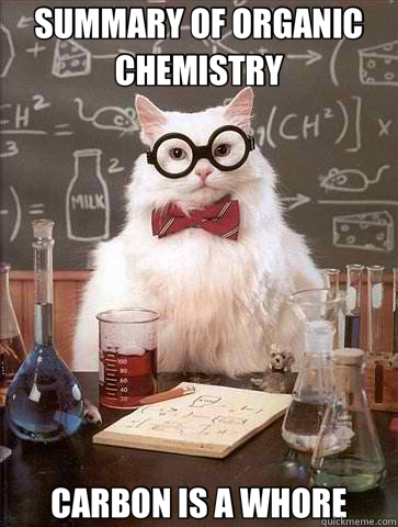 SUMMARY OF ORGANIC CHEMISTRY CARBON IS A WHORE  Chemistry Cat