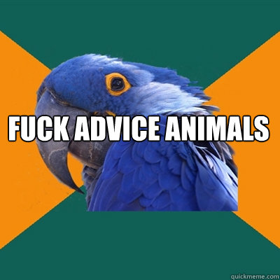 fuck advice animals   Paranoid Parrot