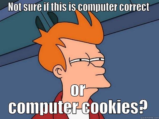 NOT SURE IF THIS IS COMPUTER CORRECT OR COMPUTER COOKIES? Futurama Fry