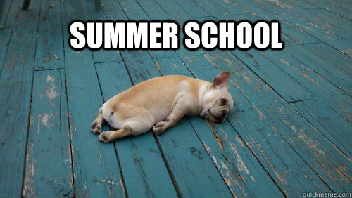 Summer school  summer school