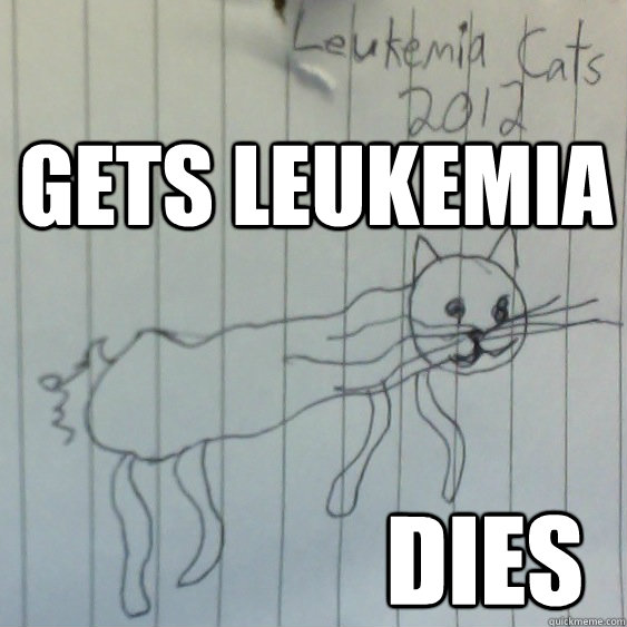 Gets Leukemia dies - Gets Leukemia dies  Leukemia Cat