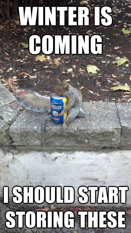 Winter is coming I should start storing these - Winter is coming I should start storing these  Misc