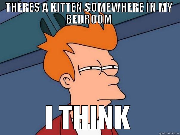 THERES A KITTEN SOMEWHERE IN MY BEDROOM I THINK Futurama Fry