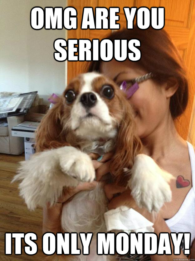 omg are you serious its only monday! - omg are you serious its only monday!  Misc