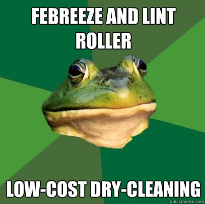 febreeze and lint roller low-cost dry-cleaning  Foul Bachelor Frog