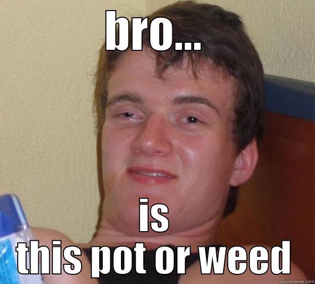 real talk - BRO... IS THIS POT OR WEED 10 Guy