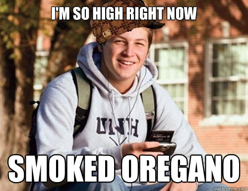 I'M SO HIGH RIGHT NOW SMOKED OREGANO  College Freshman