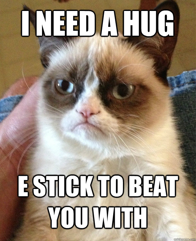 I need a hug e stick to beat you with  Grumpy Cat