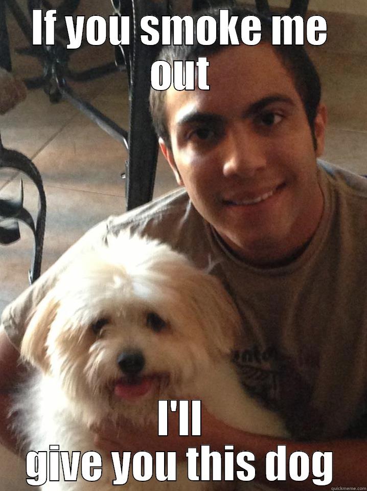 IF YOU SMOKE ME OUT I'LL GIVE YOU THIS DOG Misc